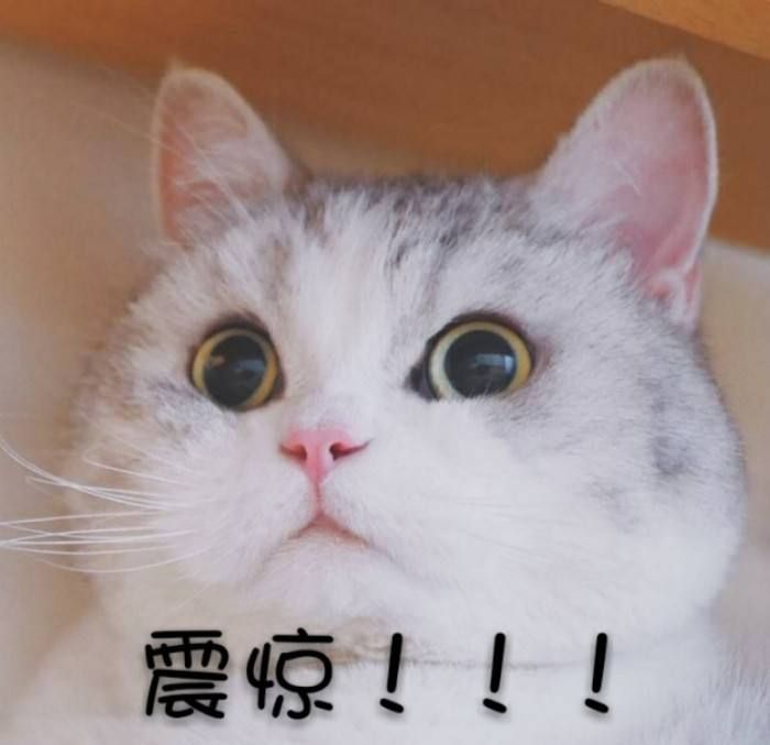 天吶！你不會(huì)還沉浸在這種洗衣誤區(qū)里吧？