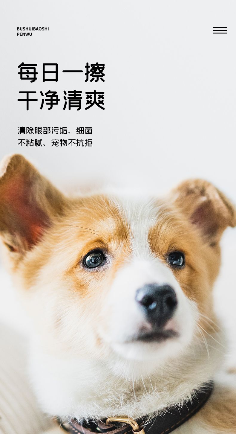 派尾巴寵物PY1去淚痕濕巾